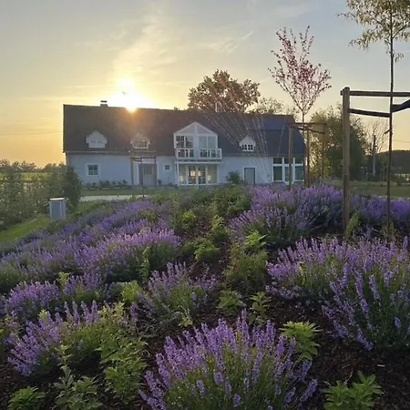 Villa Grosszuegiges Mit Pool & Kamin - Ideal Zwischen Leipzig Und Dresden - Spacious With Pool Near Leipzig & Dresden *