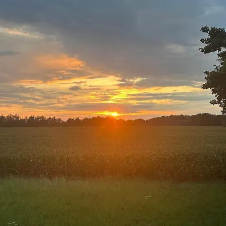 ヴィラ Grosszuegiges Mit Pool & Kamin - Ideal Zwischen Leipzig Und Dresden - Spacious With Pool Near Leipzig & Dresden