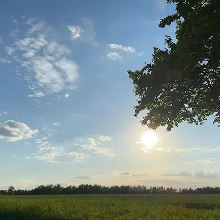 Grosszuegiges Mit Pool & Kamin - Ideal Zwischen Leipzig Und Dresden - Spacious With Pool Near Leipzig & Dresden * Frohburg