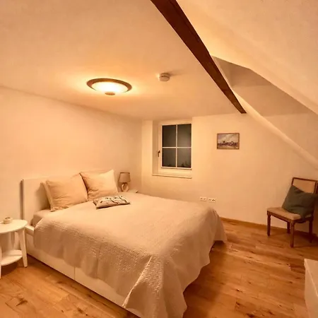 Grosszuegiges Mit Pool & Kamin - Ideal Zwischen Leipzig Und Dresden - Spacious With Pool Near Leipzig & Dresden Villa Frohburg