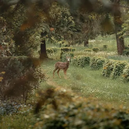Villa Grosszuegiges Mit Pool & Kamin - Ideal Zwischen Leipzig Und Dresden - Spacious With Pool Near Leipzig & Dresden *