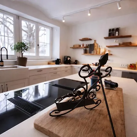 Grosszuegiges Mit Pool & Kamin - Ideal Zwischen Leipzig Und Dresden - Spacious With Pool Near Leipzig & Dresden Frohburg