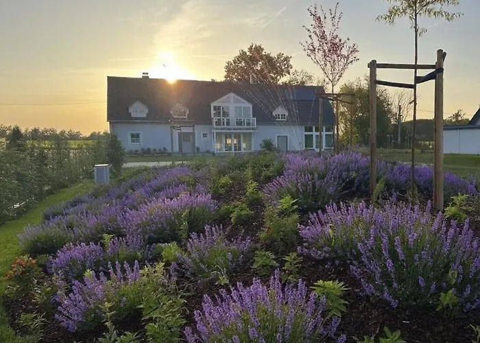 Villa Grosszuegiges Mit Pool & Kamin - Ideal Zwischen Leipzig Und Dresden - Spacious With Pool Near Leipzig & Dresden *