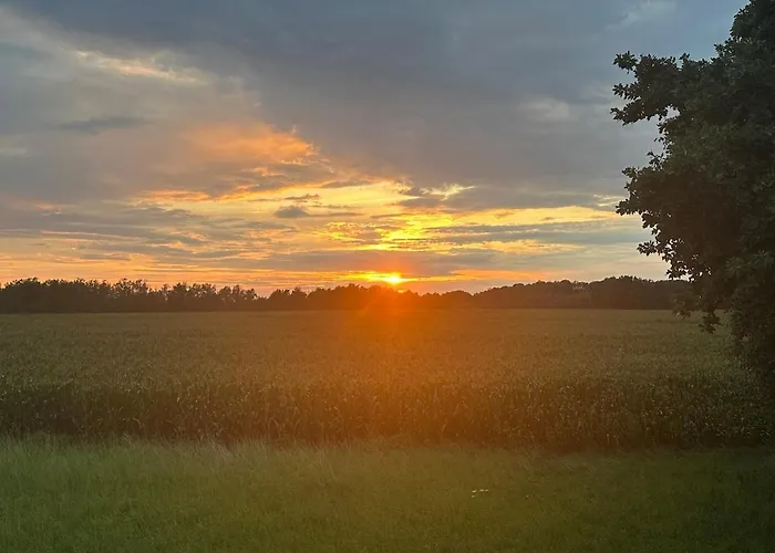 Villa Grosszuegiges Mit Pool & Kamin - Ideal Zwischen Leipzig Und Dresden - Spacious With Pool Near Leipzig & Dresden