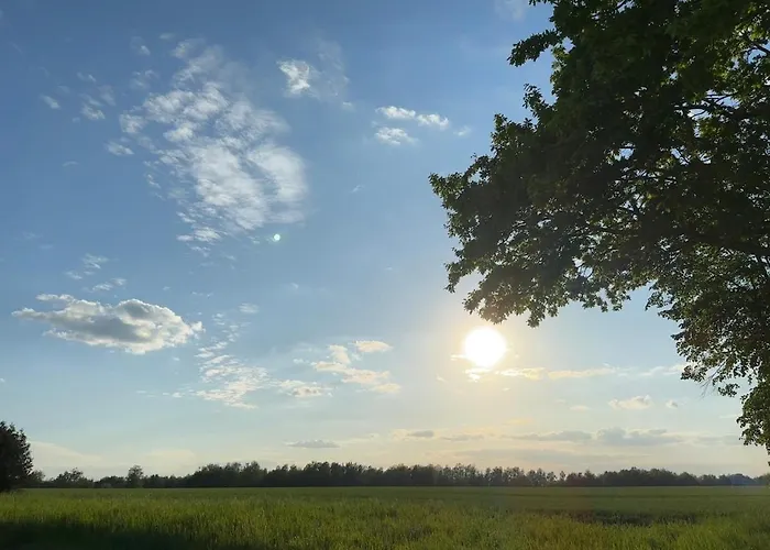 Grosszuegiges Mit Pool & Kamin - Ideal Zwischen Leipzig Und Dresden - Spacious With Pool Near Leipzig & Dresden * Frohburg