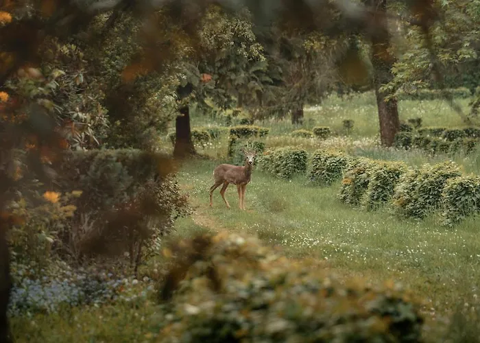 Villa Grosszuegiges Mit Pool & Kamin - Ideal Zwischen Leipzig Und Dresden - Spacious With Pool Near Leipzig & Dresden *