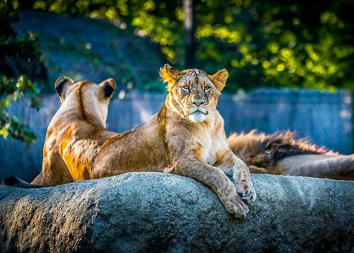 ヴィラ Grosszuegiges Mit Pool & Kamin - Ideal Zwischen Leipzig Und Dresden - Spacious With Pool Near Leipzig & Dresden *